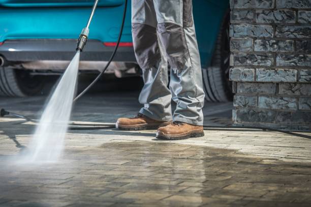 Best Animal Enclosure Cleaning  in Texkana, AR